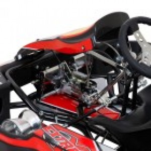 Rental Kart Hydraulic Brake