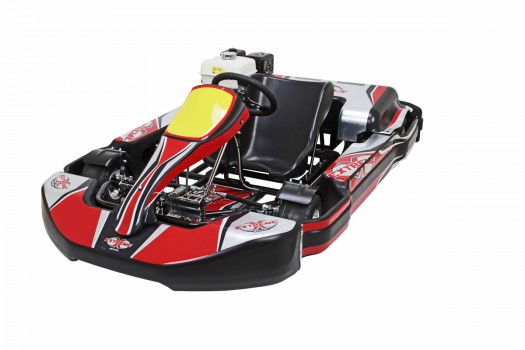 Rental Kart GX270